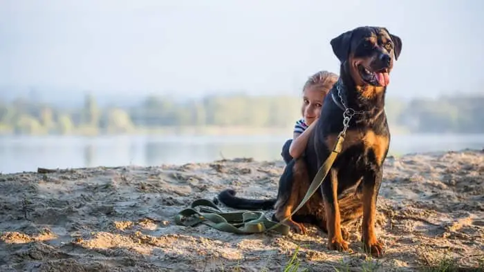 Are Rottweilers Good With Kids