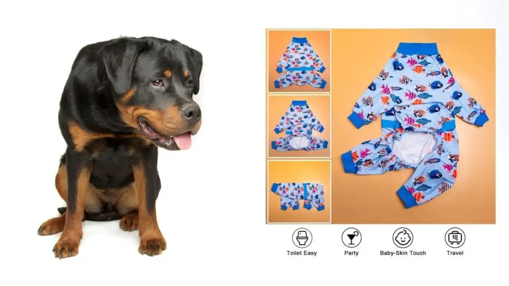 3 Best Rottweiler Pajama Pants