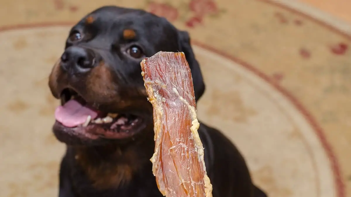 Four Best Dog Treats For Rottweilers