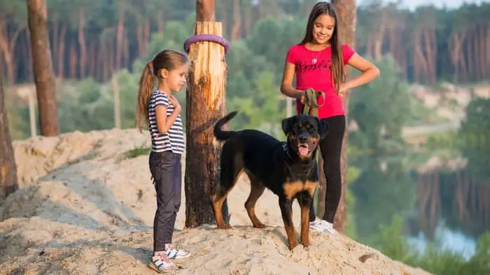 are rottweilers good with kids