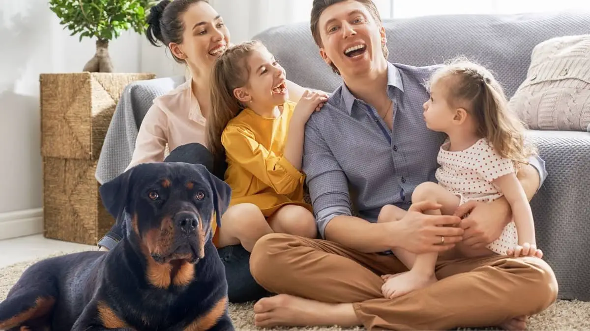 Is A Rottweiler Dangerous For Family